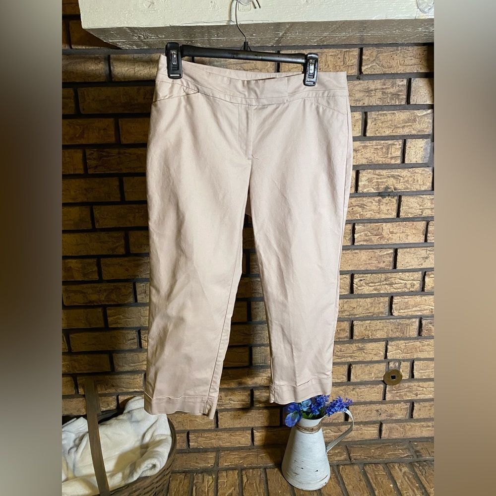 Ann Taylor curvy slacks